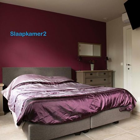 Studiobeerse Met Sauna Zwembad En Spa Daire Dış mekan fotoğraf